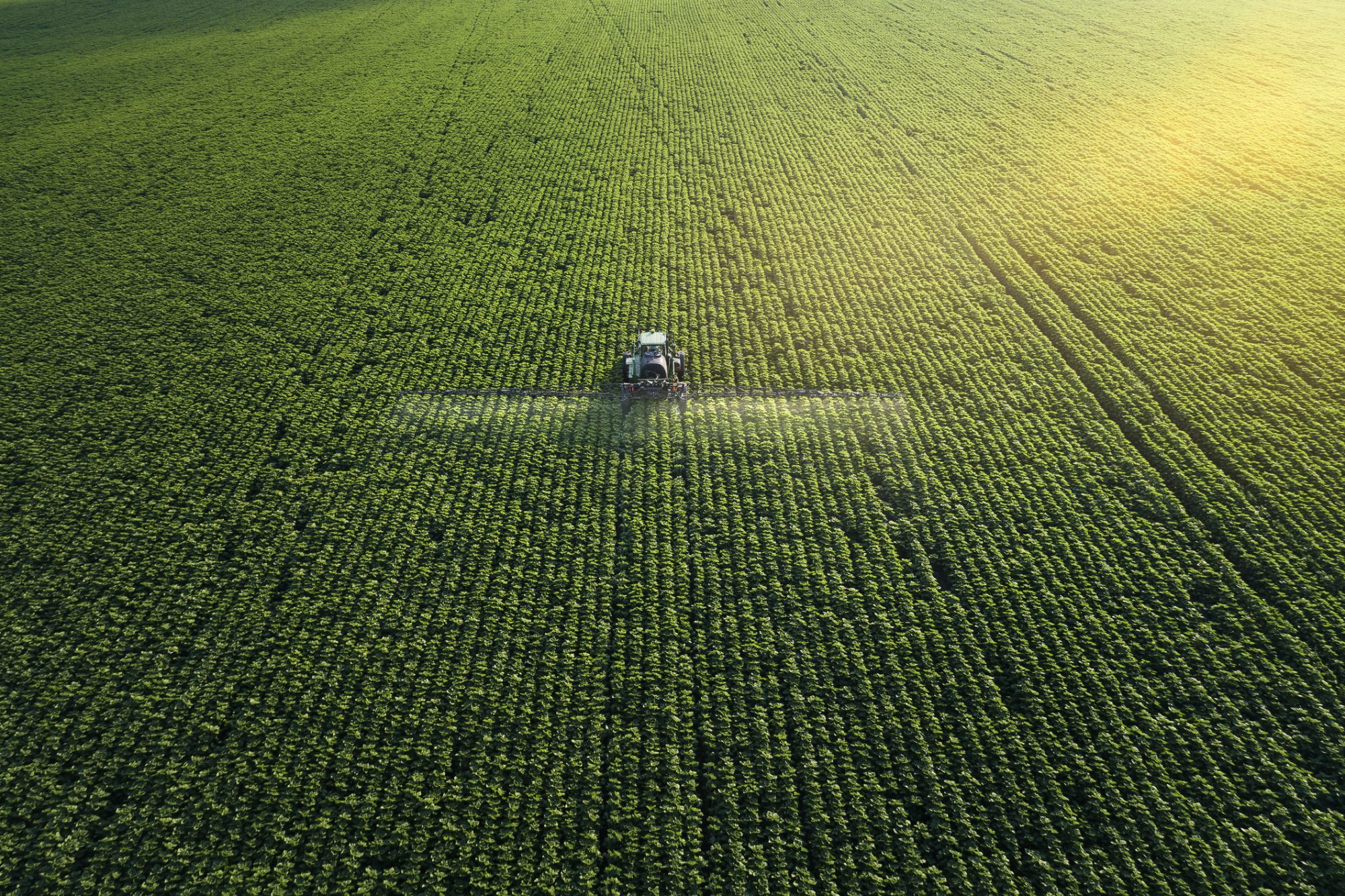 Farm360