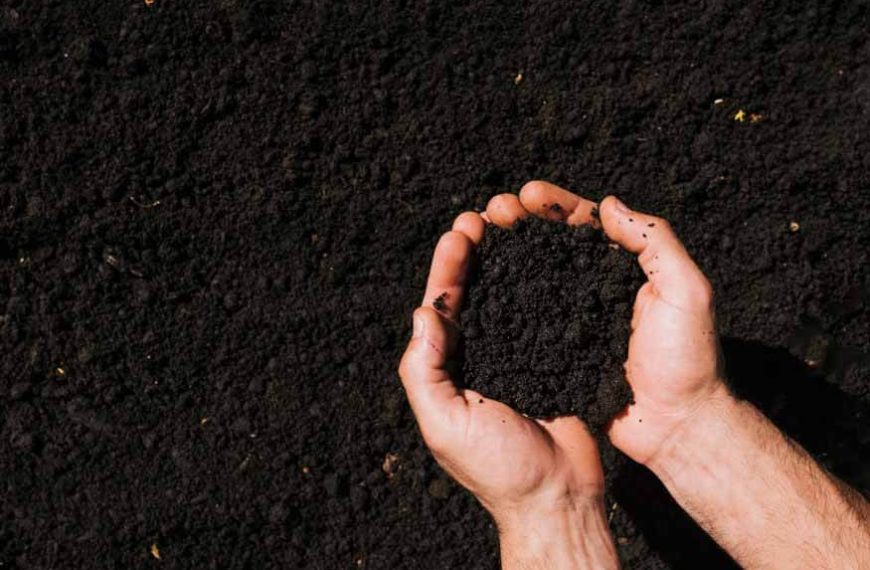 Soil Health Card (SHC) Portal